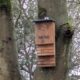 Bat box